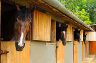 free Staverton stable construction quotes